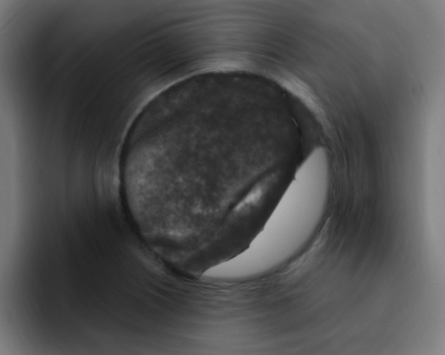 X0000092031226200710041055