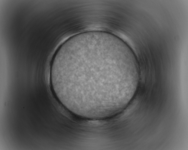 X0000092031227200710041055