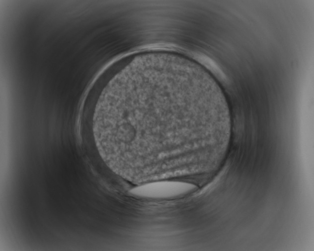 X0000092031228200710041055