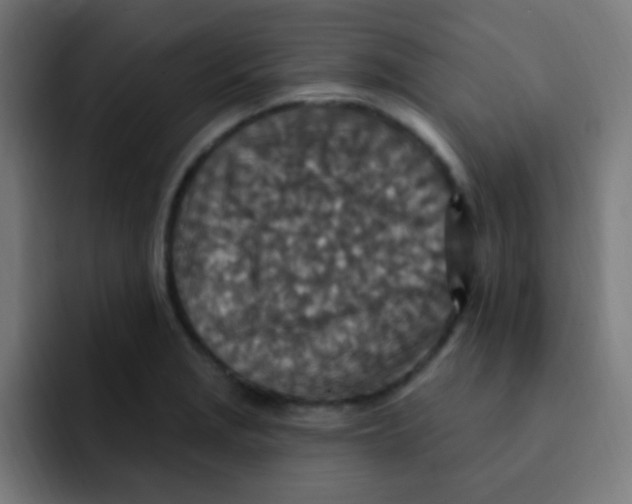 X0000092031229200710041055