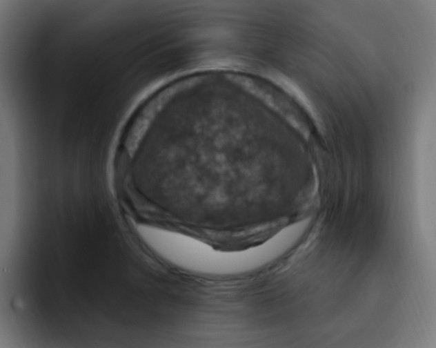 X0000092031230200710041055