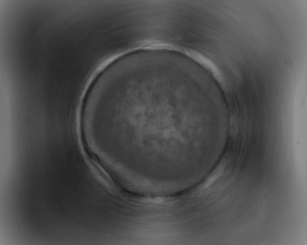 X0000092031231200710041055