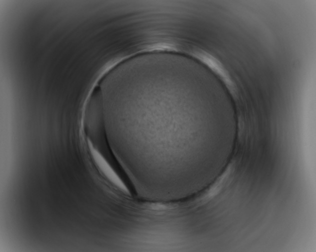 X0000092031234200710041055