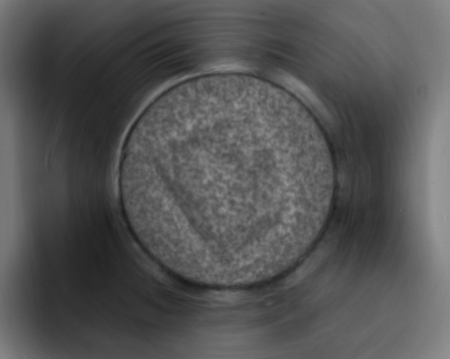 X0000092031236200710041055