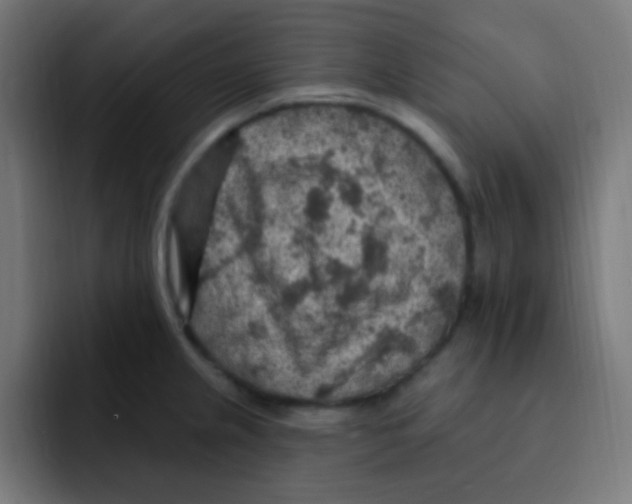 X0000092031237200710041055