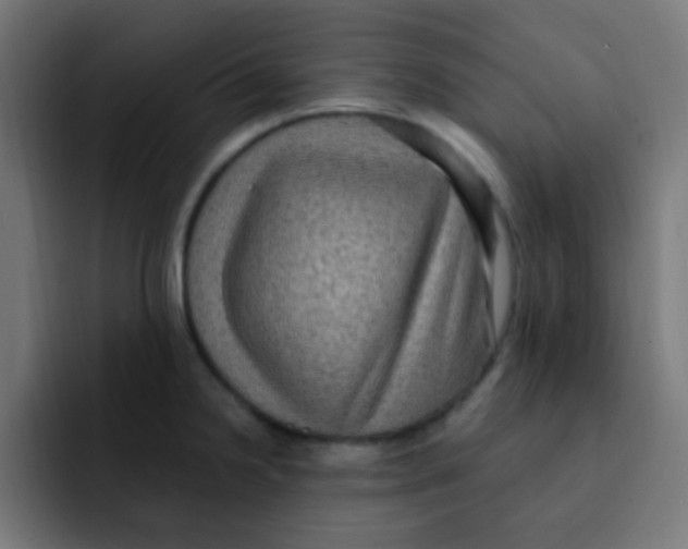 X0000092031238200710041055