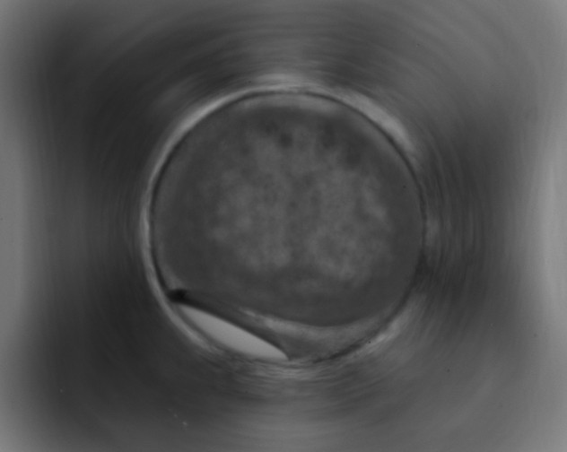 X0000092031239200710041055