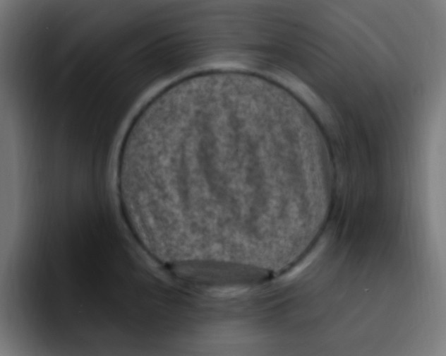 X0000092031240200710041056