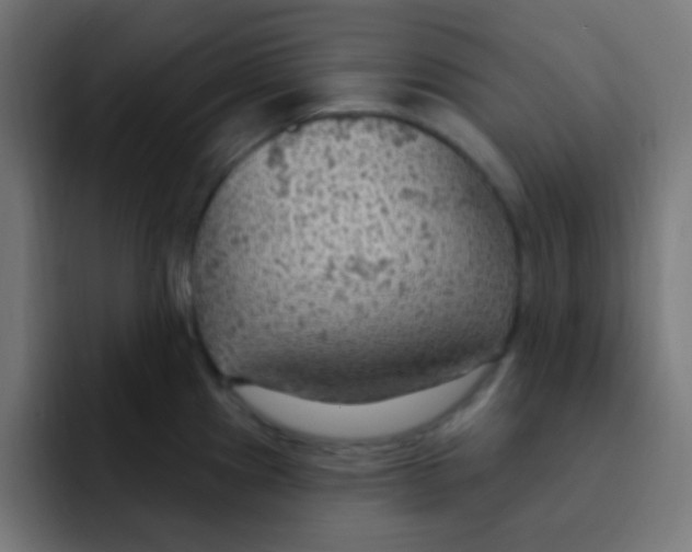 X0000092031241200710041056