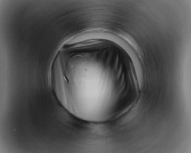 X0000092031242200710041056