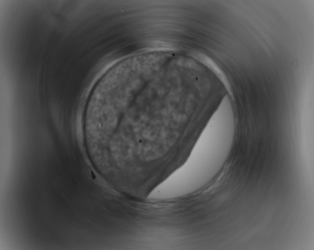 X0000092031243200710041056