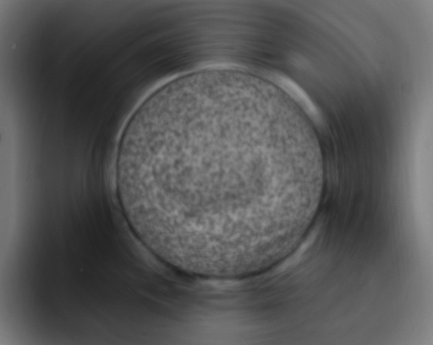 X0000092031244200710041056