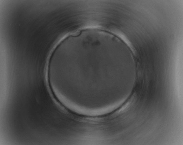 X0000092031245200710041056