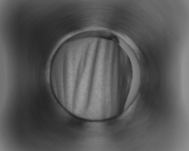 X0000092031246200710041056