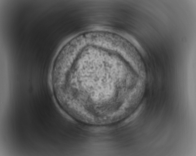 X0000092031247200710041056