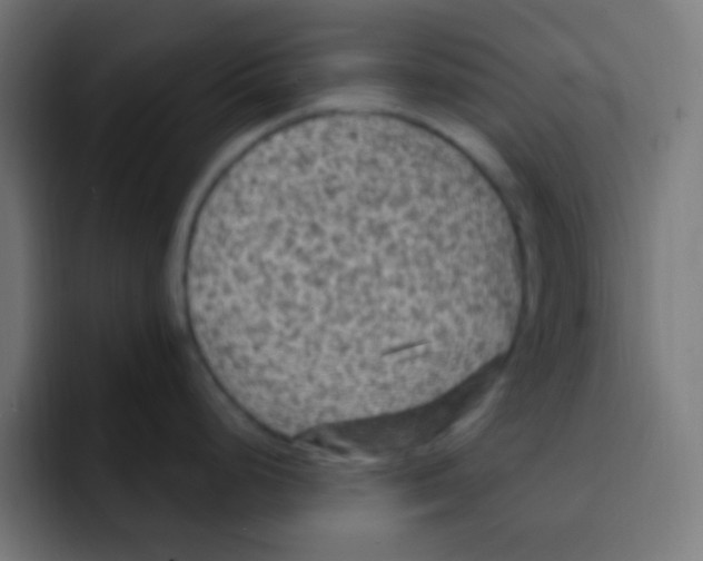 X0000092031248200710041056