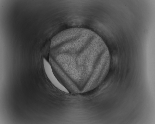 X0000092031250200710041055