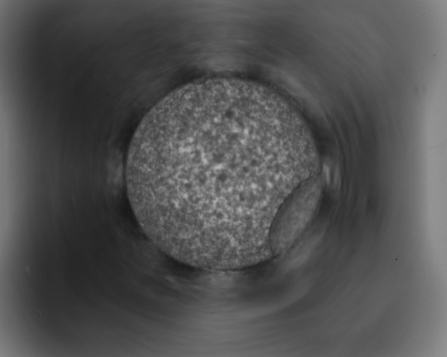 X0000092031251200710041055