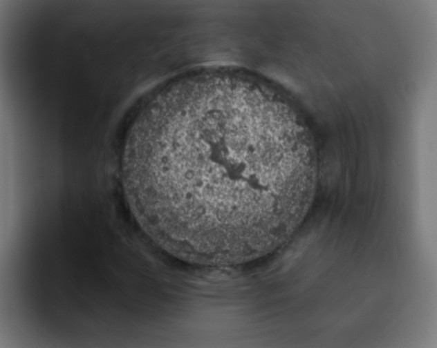 X0000092031255200710041055