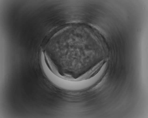 X0000092031257200710041055