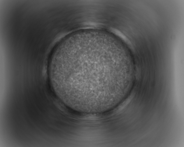 X0000092031259200710041055