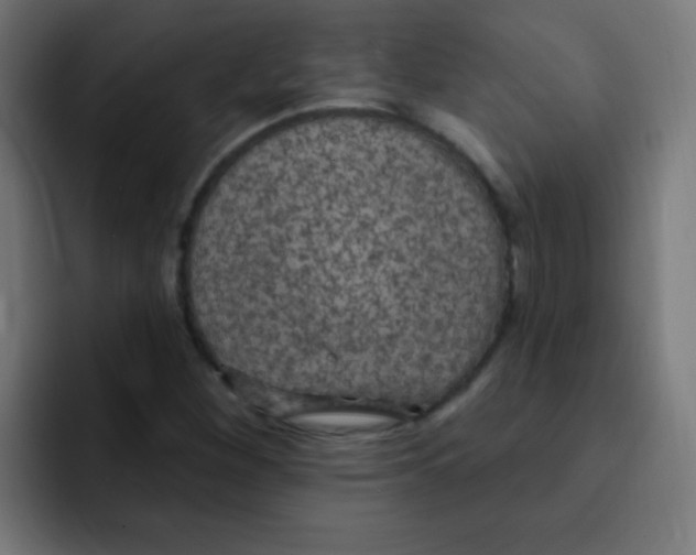 X0000092031260200710041055