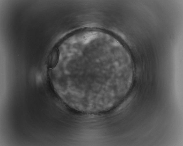 X0000092031263200710041055