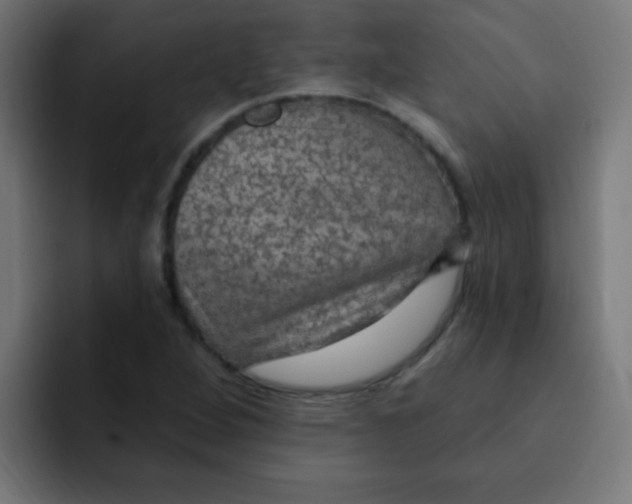 X0000092031264200710041055