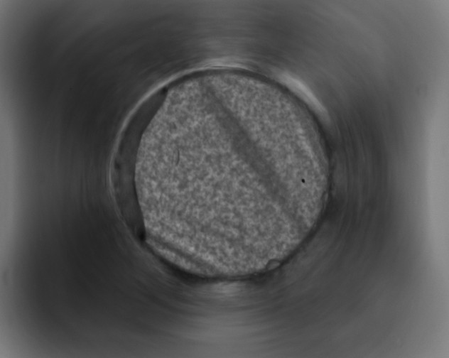 X0000092031268200710041055