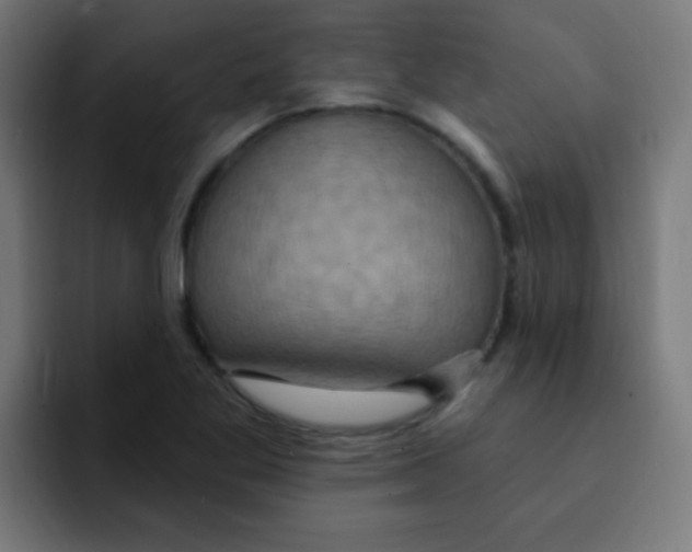 X0000092031269200710041055