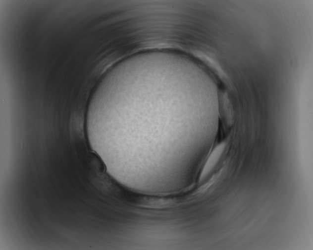 X0000092031273200710041055