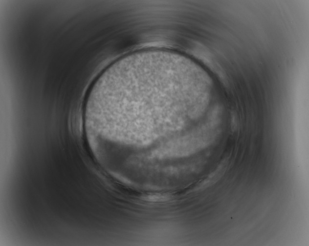 X0000092031274200710041055