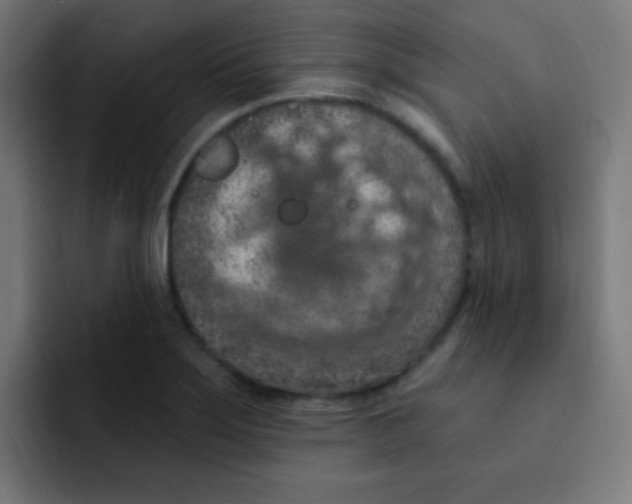 X0000092031275200710041055