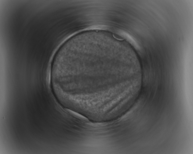 X0000092031276200710041055