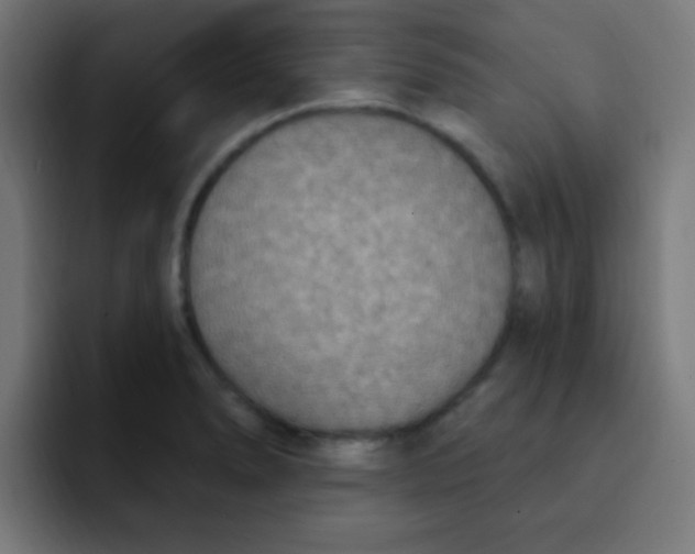 X0000092031278200710041055