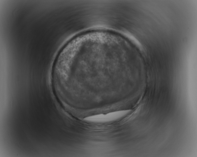 X0000092031279200710041055