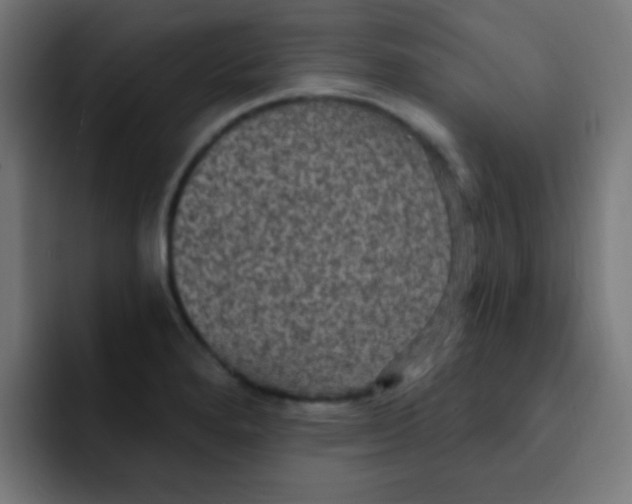 X0000092031280200710041055