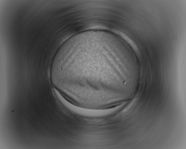 X0000092031281200710041055