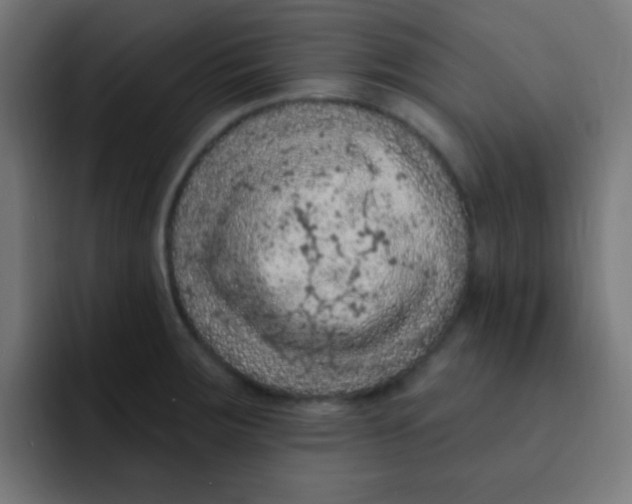 X0000092031283200710041055