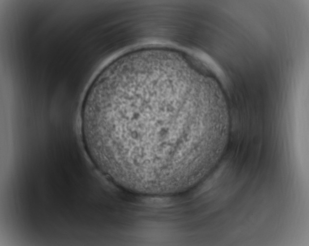 X0000092031287200710041055