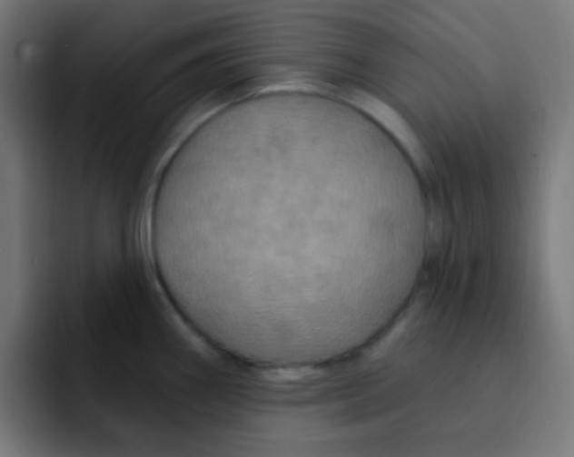 X0000092031290200710041055