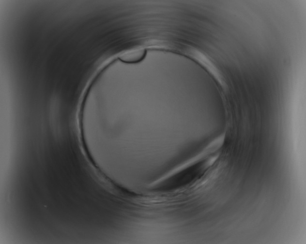 X0000092031291200710041055