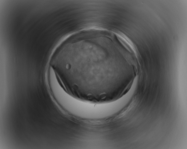 X0000092031293200710041055