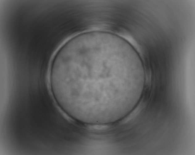 X0000092031294200710041055