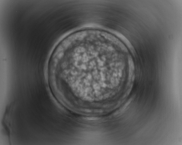 X0000092031295200710041055