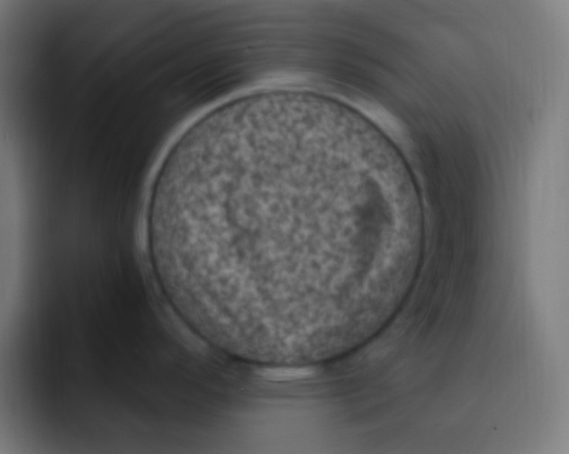 X0000092031296200710041055