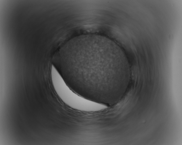 X0000092031298200710041054