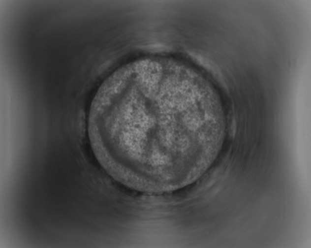 X0000092031301200710041054