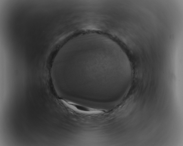 X0000092031303200710041054