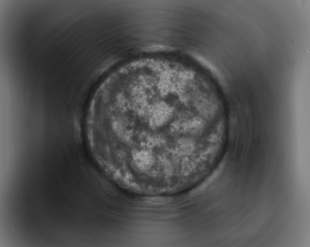 X0000092031305200710041054